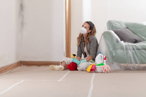 Trusted Crawl Space Mold Removal service in Drumore, PA - WQB Mold Removal